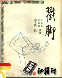 [武功秘籍]戳脚.pdf