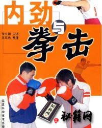 [武功秘籍]内劲与拳击（张立德）.pdf