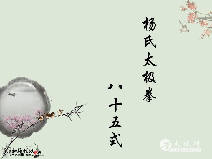 杨式太极拳拳谱拳架分动作图解(85式完整版)