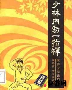 [武功秘籍]《少林内劲一指禅》.pdf