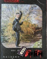 [武功秘籍]戳脚-刘景山.pdf