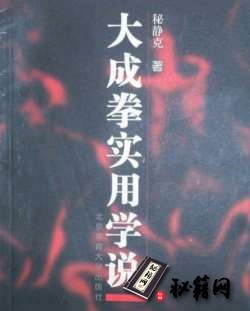 [武功秘籍]大成拳实用学说(秘静克着).pdf