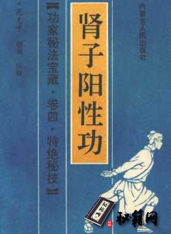 [武功秘籍]功家秘法宝藏·卷四·特绝密技 肾子阳性功（范克平）.pdf