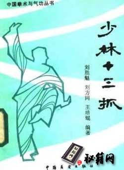 [武功秘籍]少林十三抓（刘胜魁等）.pdf