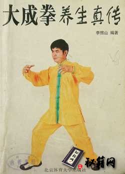 [武功秘籍]大成拳养生真传（李照山）.pdf