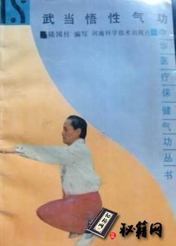 [武功秘籍]武当悟性气功（陆国柱）.pdf