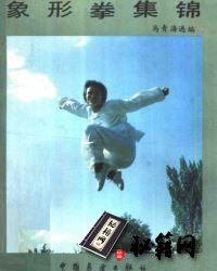 [武功秘籍]象形拳集锦.pdf