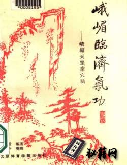 [武功秘籍]峨眉临济气功——峨嵋天罡指穴法.pdf
